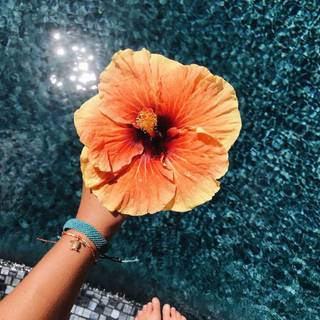 Summer PFP wallpaper