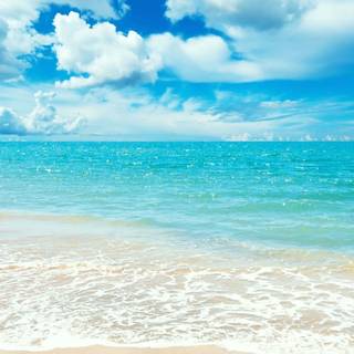 Summer PFP wallpaper