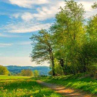 3440x1440 spring wallpaper