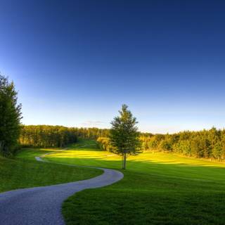 Road summer wallpaper