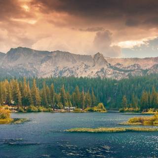 3440x1440 spring wallpaper