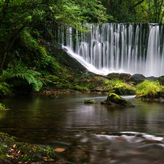 3440x1440 spring wallpaper