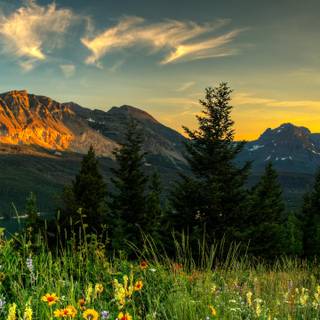 3440x1440 spring wallpaper