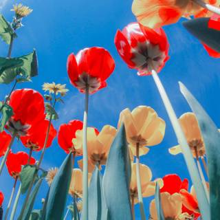 3440x1440 spring wallpaper