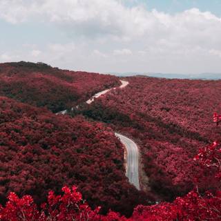 3440x1440 spring wallpaper