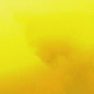 Aesthetic yellow 4k wallpaper