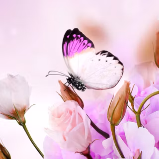 Macbook spring wallpaper