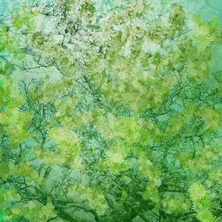 iPhone 12 spring wallpaper