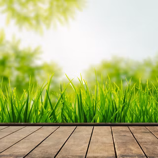 3440x1440 spring wallpaper