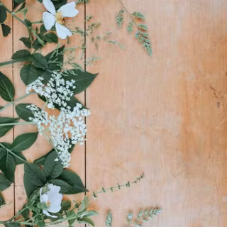 iPhone 12 spring wallpaper