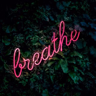 Spring aesthetic desktop wallpaper