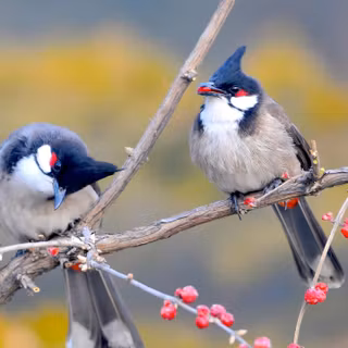 3440x1440 spring wallpaper