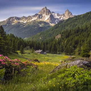 3440x1440 spring wallpaper