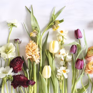 Spring digital wallpaper