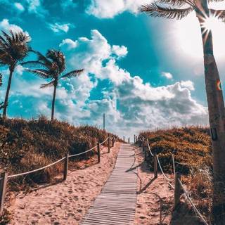 Boho summer wallpaper