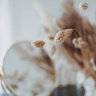 Boho summer wallpaper