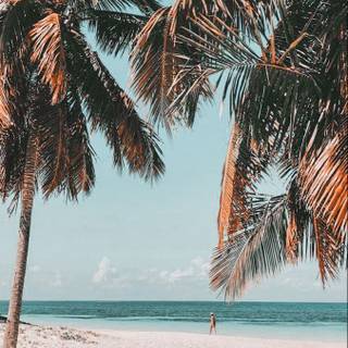 Boho summer wallpaper