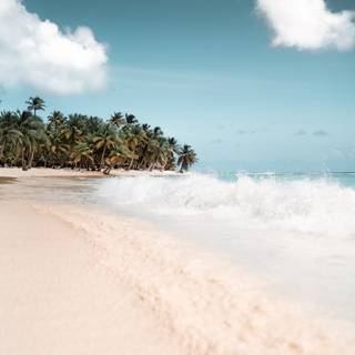 Boho summer wallpaper