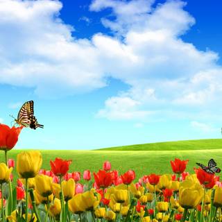 Windows spring wallpaper