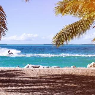 iPad summer wallpaper