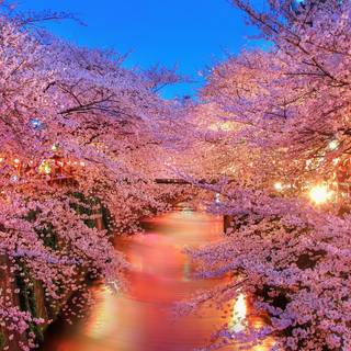 Windows spring wallpaper