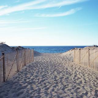 iPad summer wallpaper