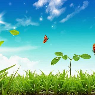 Windows spring wallpaper