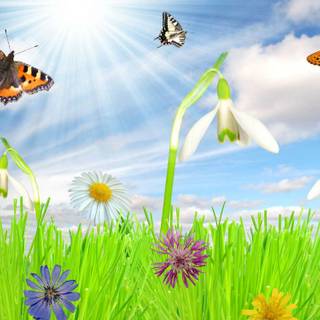 Windows spring wallpaper