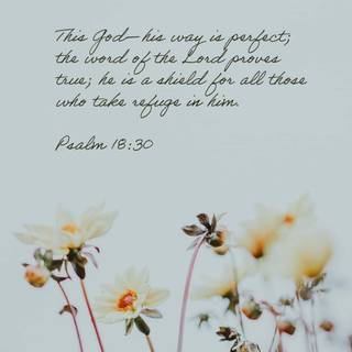 Spring Bible verses wallpaper