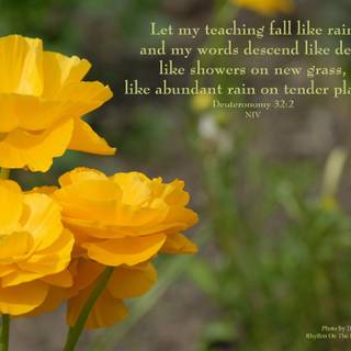 Spring Bible verses wallpaper