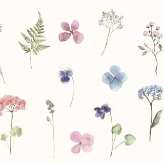 Laptop spring wallpaper