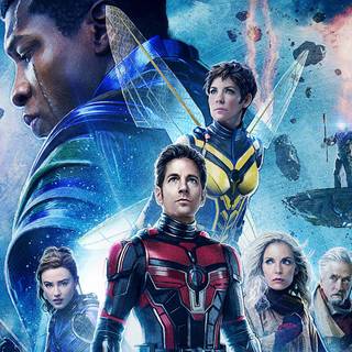 Ant-Man 2023 wallpaper