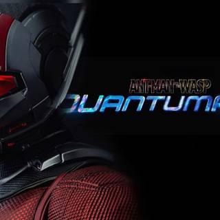 Ant-Man 2023 wallpaper