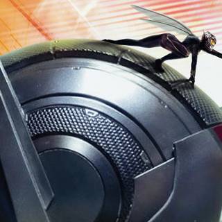 Ant-Man 2023 wallpaper