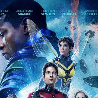 Ant-Man 2023 wallpaper