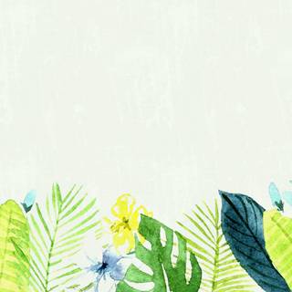 Minimalist summer wallpaper