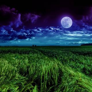 Summer night sky wallpaper