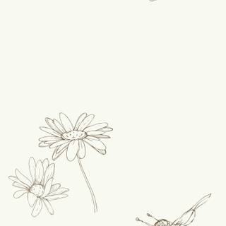 Minimal spring wallpaper