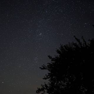 Summer night sky wallpaper