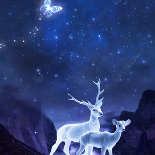 Summer night sky wallpaper