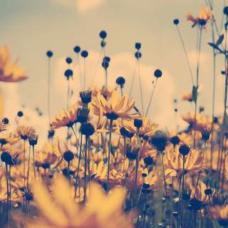 Summer retro wallpaper