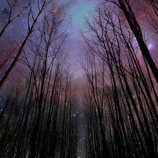 Summer night sky wallpaper