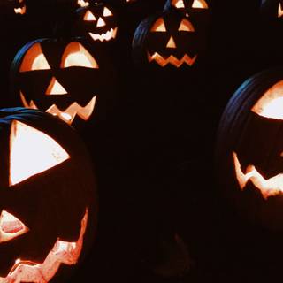 Halloween vibes wallpaper