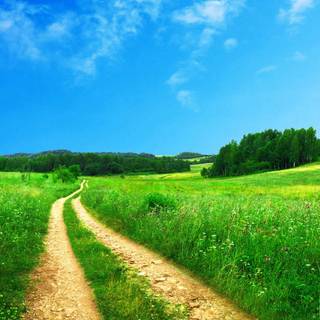 Summer country wallpaper