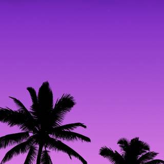 Purple summer wallpaper
