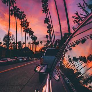 Purple summer wallpaper