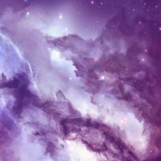 Purple summer wallpaper