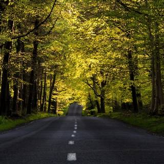 Spring street wallpaper