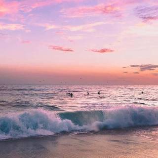 Purple summer wallpaper