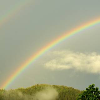 Summer weather wallpaper